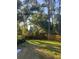 Backyard with lush lawn, mature trees, and a wooden fence, creating a serene and private outdoor space at 4504 Cabbage Palm Dr, Valrico, FL 33596