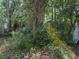 Backyard with lush greenery, mature trees and lots of foliage at 5517 Pentail Cir, Tampa, FL 33625