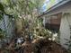 Overgrown side yard with lattice fence, window, and an assortment of potted plants at 5517 Pentail Cir, Tampa, FL 33625