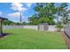 Fenced backyard with green grass, shed, and newly planted trees on a sunny day at 5591 15Th N Ave, St Petersburg, FL 33710