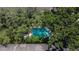 Aerial view of an in-ground swimming pool surrounded by lush landscaping offering a private backyard oasis at 5864 Nature Terrace Cv, Tampa, FL 33617