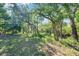 Landscaped backyard featuring mature trees providing ample shade at 6130 Japonica Ct, New Port Richey, FL 34655