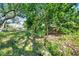 Backyard with lush greenery, trees, and a grassy area at 6130 Japonica Ct, New Port Richey, FL 34655
