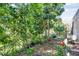 An outdoors space featuring plants, trees and various potted greenery at 6130 Japonica Ct, New Port Richey, FL 34655
