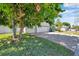 Paved driveway leading to a three-car garage, framed by a mature tree and greenery at 6130 Japonica Ct, New Port Richey, FL 34655