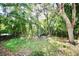 View of the wooded area of the backyard surrounded by mature trees at 9161 Codel Loop, New Port Richey, FL 34654