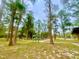 Scenic view of Moon Lake Park with tall trees, a playground, and picnic areas at 9161 Codel Loop, New Port Richey, FL 34654