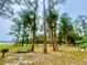 Moon Lake Park, featuring tall trees, picnic tables, and a lake in the background at 9161 Codel Loop, New Port Richey, FL 34654