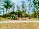 A playground at Moon Lake Park featuring green slides, climbing structures, and a swing set at 9161 Codel Loop, New Port Richey, FL 34654