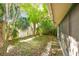 Backyard area with lush greenery surrounded by trees and a fence, creating a private outdoor space at 1219 Michigan N Dr, Dunedin, FL 34698