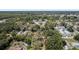 Overhead shot of houses in a verdant neighborhood with tall, mature trees at 12302- Pittsfield Ave, Tampa, FL 33624