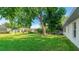 Spacious backyard with lush green lawn and mature trees, perfect for outdoor activities at 2314 50Th E Dr, Bradenton, FL 34203