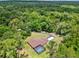 Aerial view of the home with a private pool surrounded by lush, green trees at 24498 Casey Rd, Brooksville, FL 34601