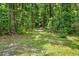 A wooded walking path is lined with trees and foliage and is well-shaded by the canopy above at 24498 Casey Rd, Brooksville, FL 34601