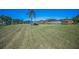 Beautiful backyard with canal view, a mature palm, and lush lawn under clear blue skies at 3847 Lighthouse Way # 3847, New Port Richey, FL 34652
