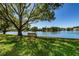 Picturesque lake view with a bench under a mature tree, creating a peaceful retreat at 3847 Lighthouse Way # 3847, New Port Richey, FL 34652