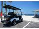 Upscale golf cart parked at the sandy waterfront with sunshades and beach goers on sunny day at 4968 Southshore Dr, New Port Richey, FL 34652