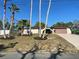 Charming single-story home with mature palm trees and well-maintained landscaping at 186 Dan River Dr, Spring Hill, FL 34606