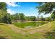 Scenic community pond surrounded by mature trees and green grass at 2531 Earlswood Ct, Brandon, FL 33510