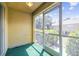 View of a screened patio featuring green carpet and views of the surrounding community at 256 Castlekeeper Pl, Valrico, FL 33594