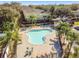 Aerial view of a clover shaped community pool and surrounding houses with mature palm trees at 256 Castlekeeper Pl, Valrico, FL 33594