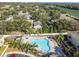 Aerial view of the clover shaped community pool and surrounding houses with mature landscaping at 256 Castlekeeper Pl, Valrico, FL 33594