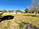 Expansive yard featuring a quaint home, complemented by lush palm trees and clear blue skies, creating an inviting outdoor space at 318 Banana St, Tarpon Springs, FL 34689