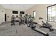 Well-equipped fitness center with modern exercise machines and natural light from a window at 3504 Golden Wheat Ln, Plant City, FL 33565