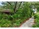 Landscaped front yard featuring a variety of plants and trees along a winding walkway at 4215 Water Oaks Ln, Tampa, FL 33618