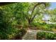 Tranquil front yard with lush greenery, mature trees, and a peaceful walkway at 4215 Water Oaks Ln, Tampa, FL 33618