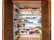 Spacious walk-in pantry with ample shelving for organized storage and easy access to cookware and food items at 4215 Water Oaks Ln, Tampa, FL 33618