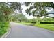 A peaceful street view featuring mature trees, manicured lawns, and a serene pond at 4215 Water Oaks Ln, Tampa, FL 33618