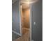 Walk-in closet with carpeted floors and wire shelving for organized storage at 4323 Baynes Rd, North Port, FL 34288