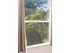 View from the window with lush greenery and natural light streaming in at 8004 N Brooks St, Tampa, FL 33604