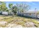 View of the backyard showcasing the house and the yard at 9236 Suncoast Terrace, Hudson, FL 34667