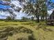 Backyard with an expansive grassy lawn and trees at 1003 Teal Pointe, Tarpon Springs, FL 34689