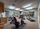 Community gym featuring cardio equipment, mirrors, and mounted television at 1003 Teal Pointe, Tarpon Springs, FL 34689