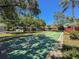 Community shuffleboard court amidst lush greenery, perfect for fun recreational activities at 1003 Teal Pointe, Tarpon Springs, FL 34689