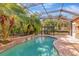 A screened pool with palm trees and an adjacent gazebo with dining set, ideal for outdoor entertaining at 10528 Bermuda Isle Dr, Tampa, FL 33647