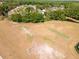 Aerial view of a sports field and soccer goal posts with a cricket pitch and a pond beyond the tree line at 10528 Bermuda Isle Dr, Tampa, FL 33647
