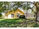 Backyard view with well-maintained grass, large tree, screened lanai, and the back of the yellow house at 11209 Pocket Brook Dr, Tampa, FL 33635