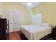 Bright bedroom featuring a ceiling fan, wood floors, and a spacious closet with white paneled doors at 11209 Pocket Brook Dr, Tampa, FL 33635