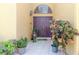 Welcoming front entrance with double doors, potted plants, and decorative tile, creating a grand entrance at 11209 Pocket Brook Dr, Tampa, FL 33635