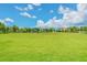 Expansive community green space perfect for outdoor activities and recreation on a sunny day at 11852 Lake Lucaya Dr, Riverview, FL 33579