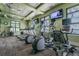 Community gym featuring treadmills, elliptical machines, and weightlifting equipment at 11852 Lake Lucaya Dr, Riverview, FL 33579