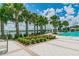 Community pool surrounded by palm trees and lush landscaping, perfect for relaxation and recreation by the water at 11852 Lake Lucaya Dr, Riverview, FL 33579