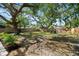 Expansive backyard featuring mature trees, lush greenery, and a cozy seating area for outdoor enjoyment at 1276 Bertland Way, Clearwater, FL 33755