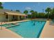 A large swimming pool with several people in the water on a sunny day with palm trees in the background at 1309 Pine Ridge E Cir # D3, Tarpon Springs, FL 34688