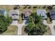 Aerial shot of homes with long driveways and mature trees in a quiet neighborhood at 13421 Sydney Rd, Valrico, FL 33594