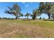 Expansive backyard featuring mature trees, creating a peaceful and serene outdoor space at 13421 Sydney Rd, Valrico, FL 33594